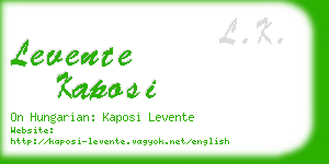 levente kaposi business card